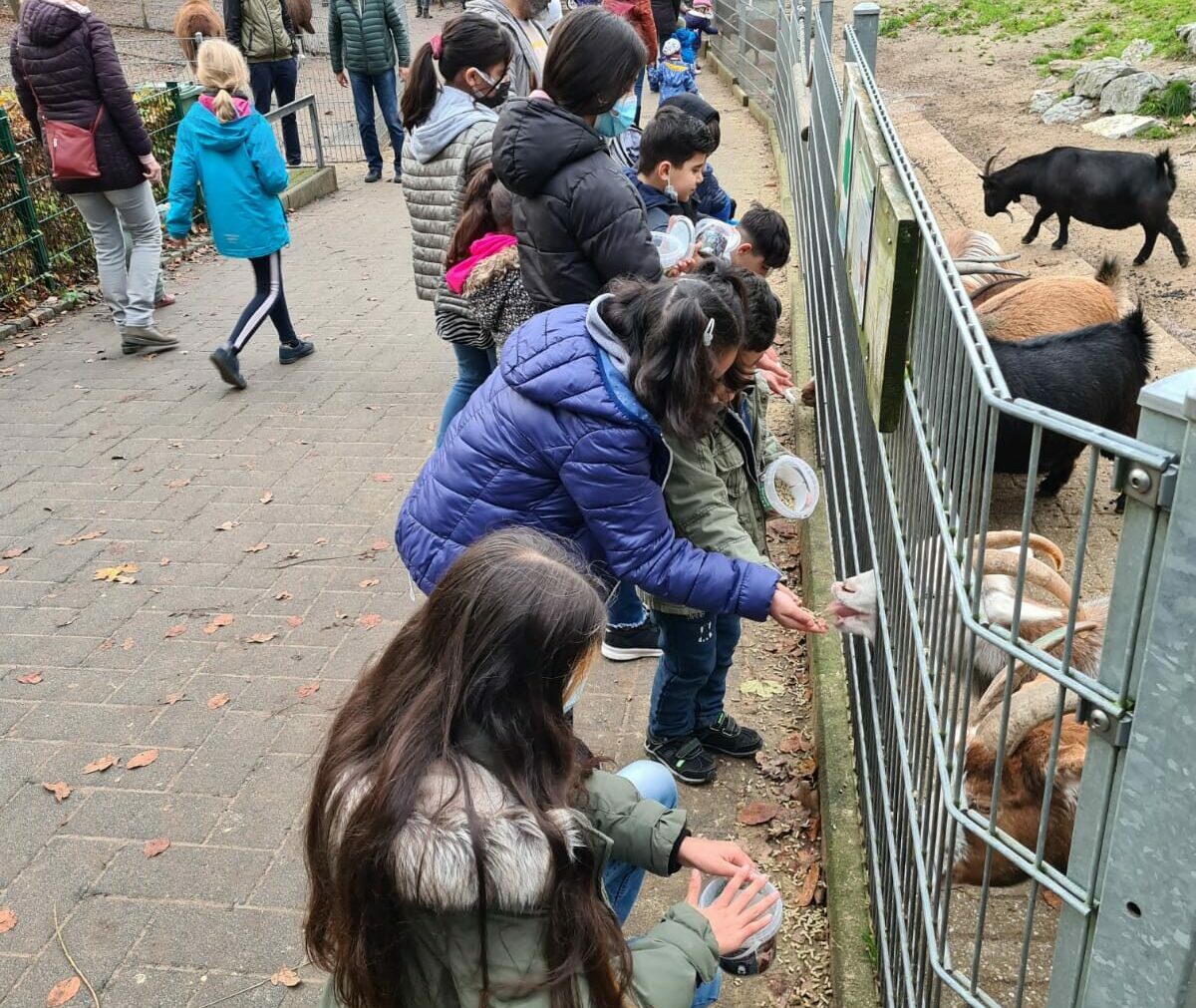 WhatsApp-Image-2021-11-16-at-18.06.41-1-e1640969166581-2